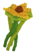 Suncoll